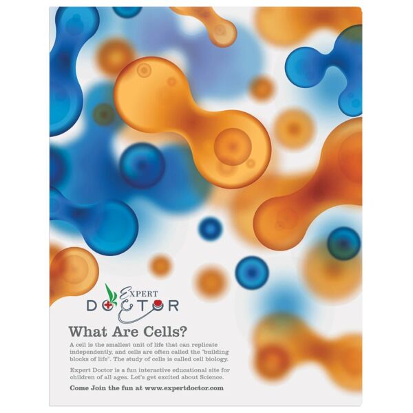 11" x 14" Gloss ChromaLuxe Aluminum Photo Panel Thumbnail