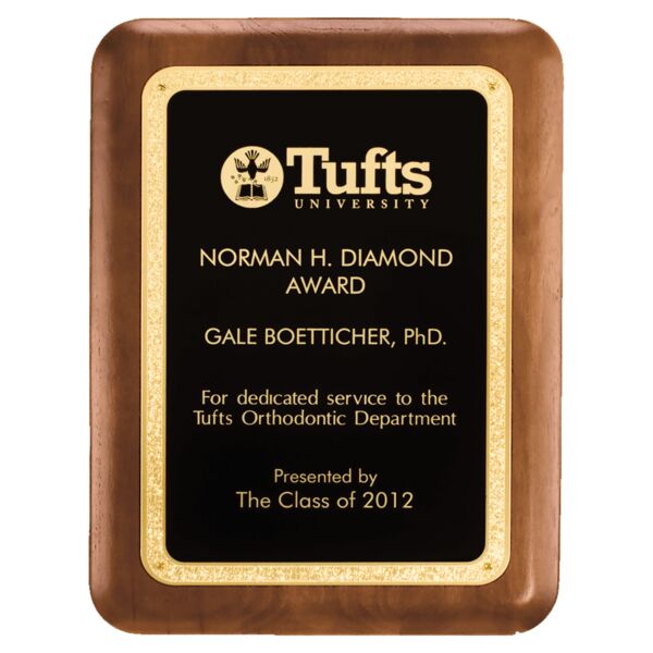 8" x 10 1/2" American Plaque with Textured LaserFX Plate with Florentine Border Thumbnail