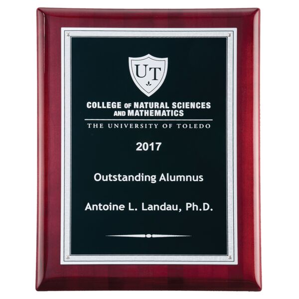 9" x 12" Airflyte Piano Finish Plaque with Textured LaserFX Plate with Florentine Border Thumbnail