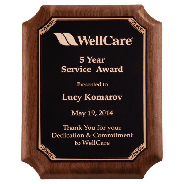 11" x 15" American Plaque with Border LaserFX Plate Thumbnail