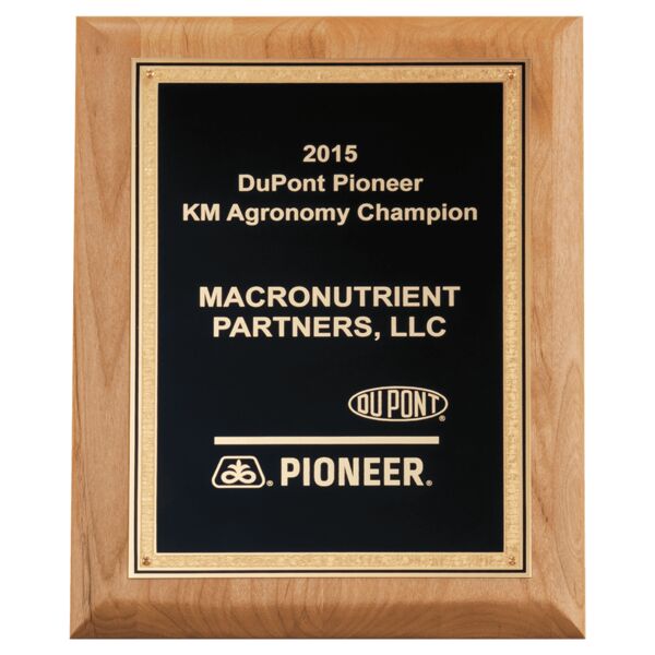 9" x 12" Natural Wood Plaque with Textured, Florentine Bordered LaserFX Plate Thumbnail