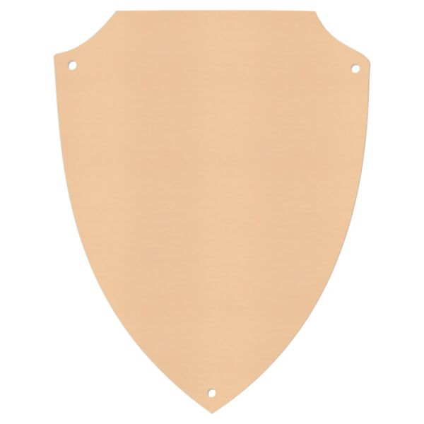 6" x 7 5/8" Satin Aluminum Shield Plaque Plate Thumbnail