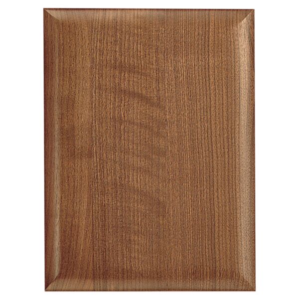 12" X 15" Airflyte Plaque Thumbnail