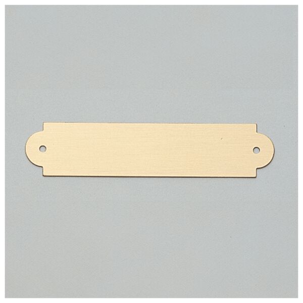 3/4" x 3 1/2" Brushed Brass Plate with Two Holes Thumbnail