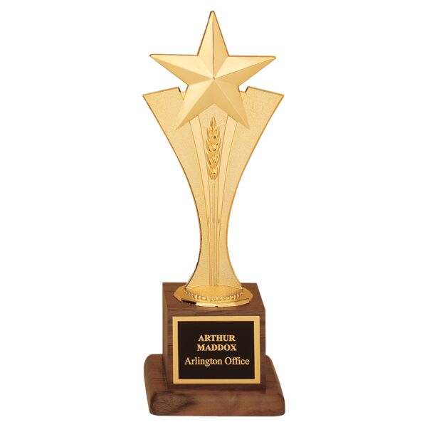 3 1/2" x 10" Modern Goldtone Star Casting on a Finish Base with Laserable Brass Plate Thumbnail