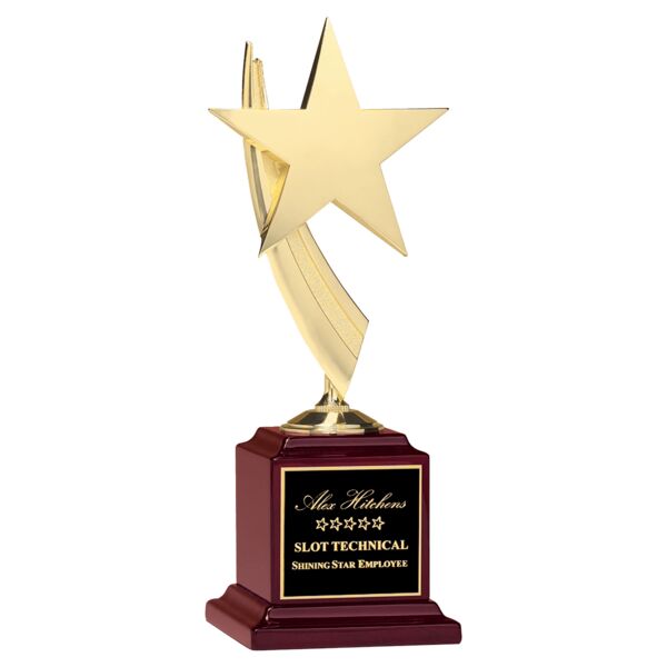 13" Star Casting in Goldtone Finish on Piano Finish Base with Laserable Plate Thumbnail